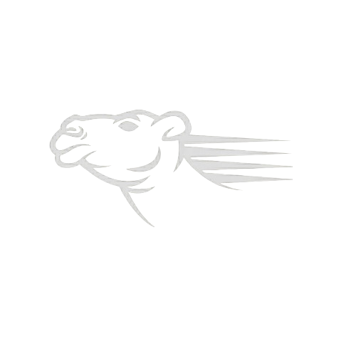 Alebel Racing logo